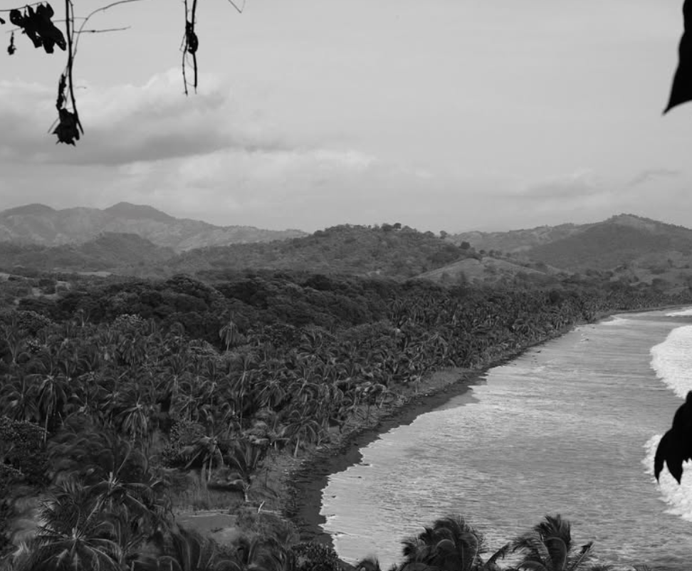 Local ingredients at Casa Morrillo