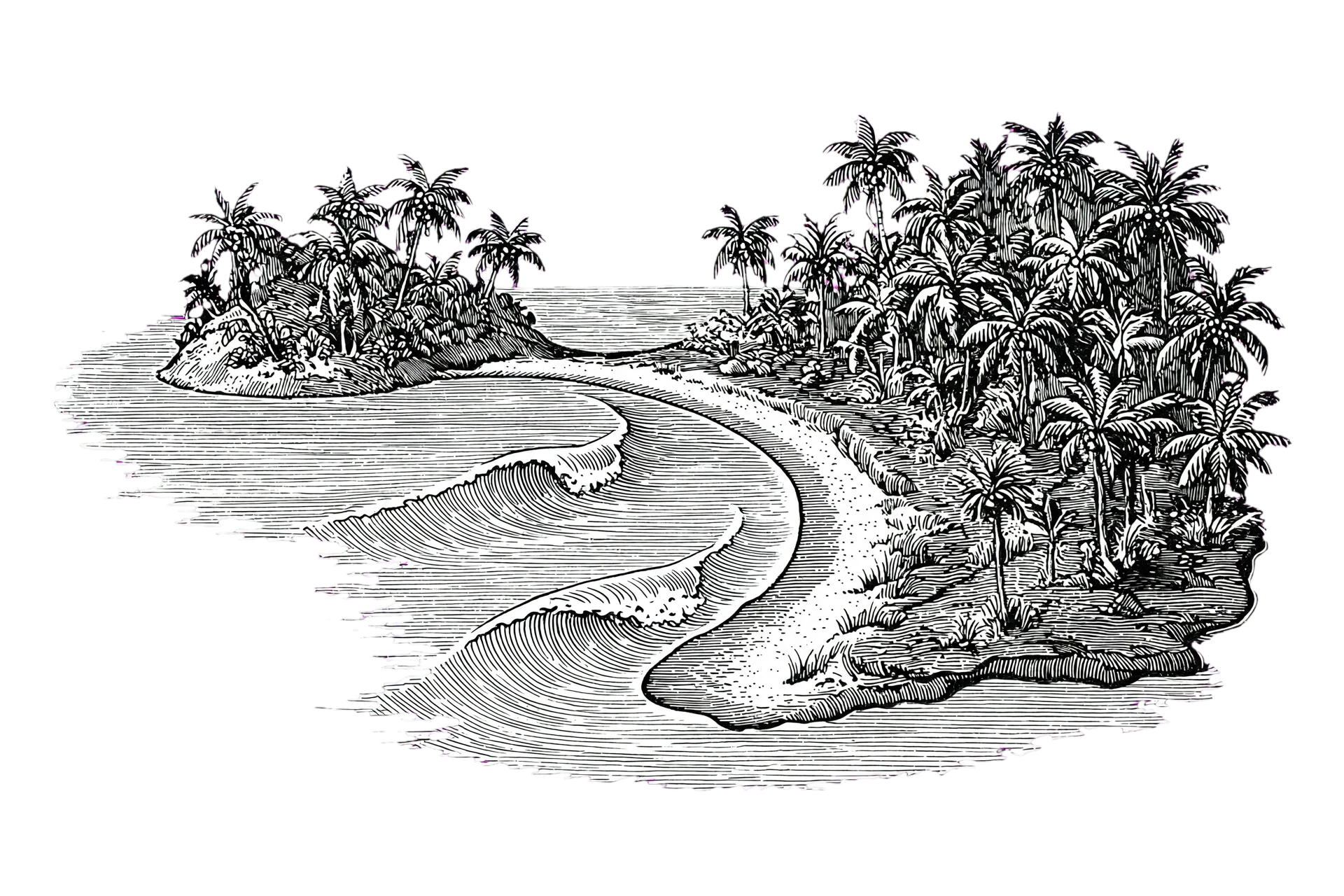 Line drawing of a palm-lined island bay with breaking waves